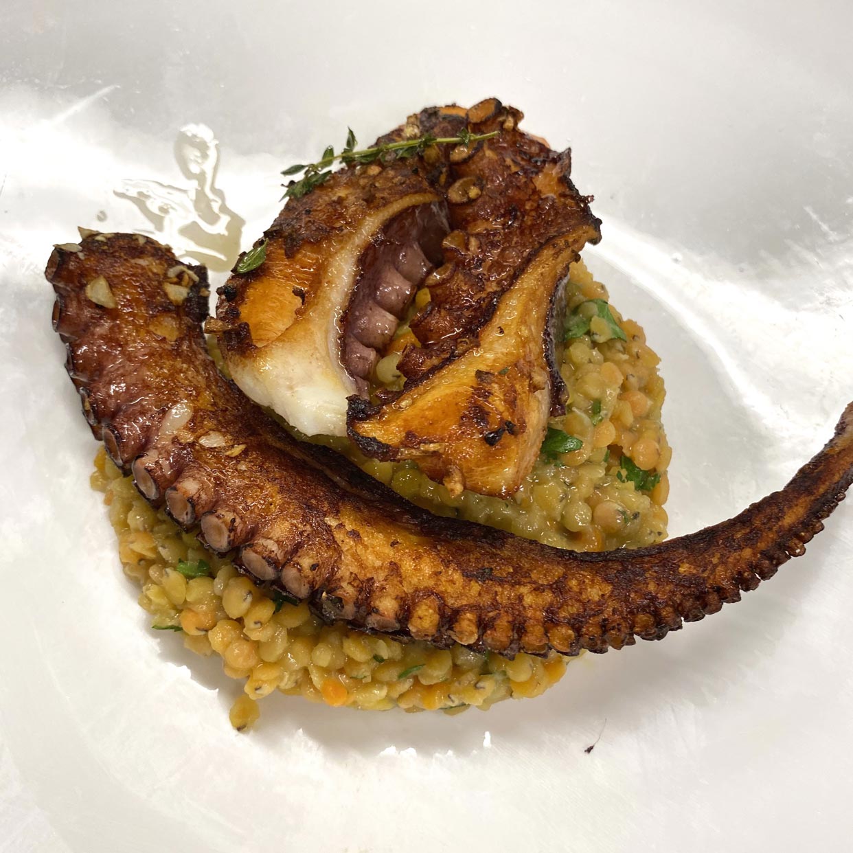 Gebratener Oktopus auf Linsen