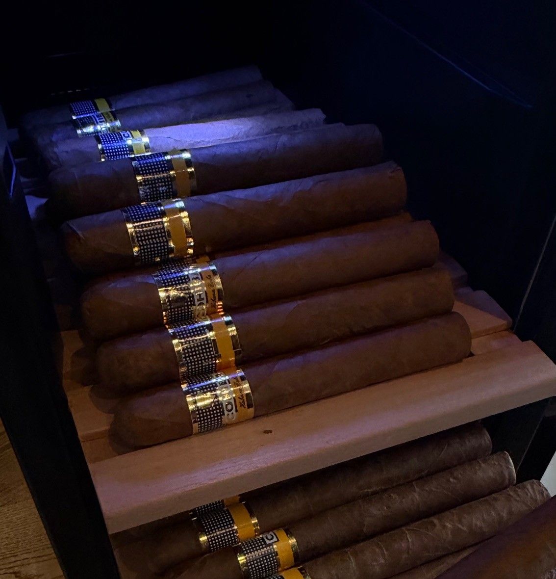Zigarren im Humidor